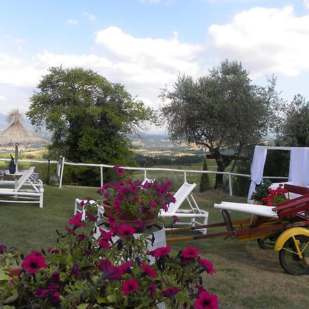 Country Resort Il Frassine Риньяно-суль-Арно Экстерьер фото
